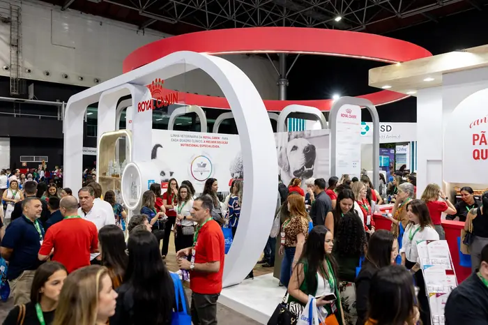 Organização de eventos — foto 6