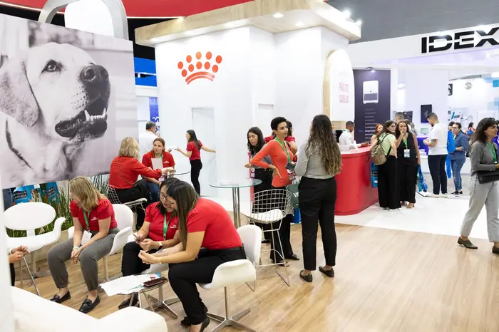 Organização de eventos — foto 7